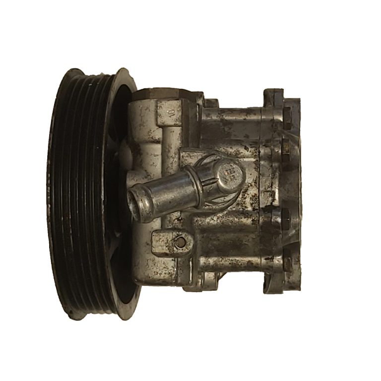 Pump ref. 7691955308